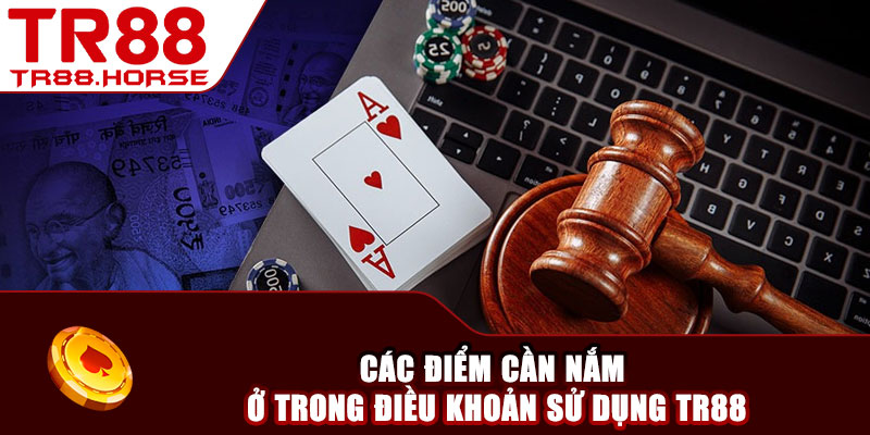 Các điểm cần nắm ở trong điều khoản sử dụng TR88