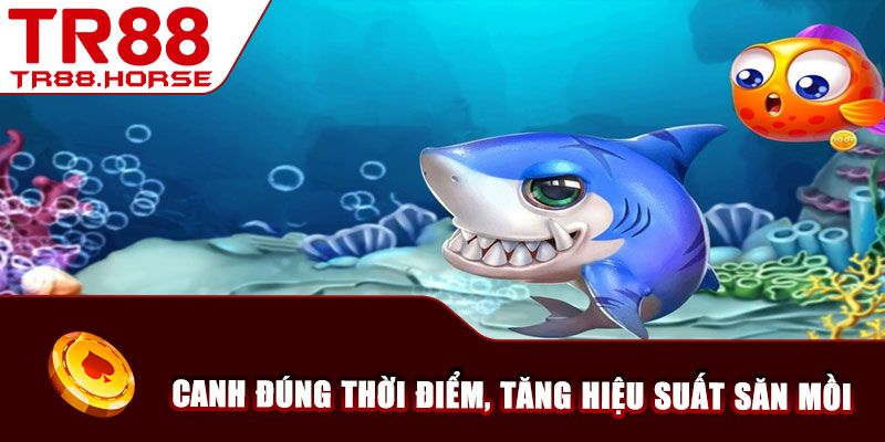 Canh đúng thời điểm, tăng hiệu suất săn mồi