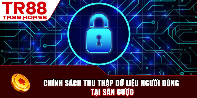 Chính sách thu thập dữ liệu người dùng tại sân cược