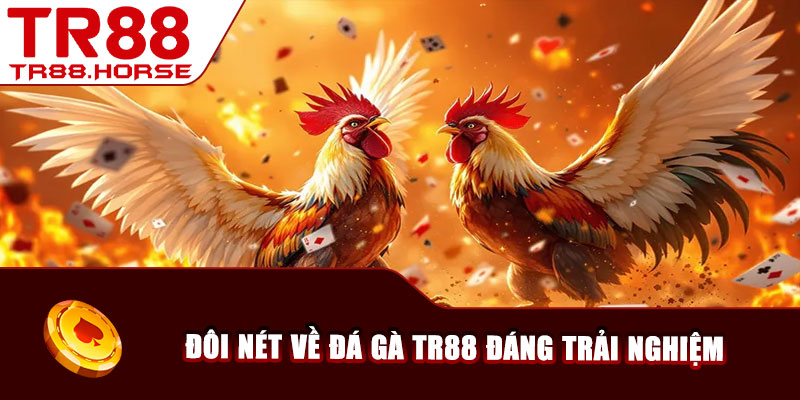 Đôi nét về đá gà TR88 đáng trải nghiệm