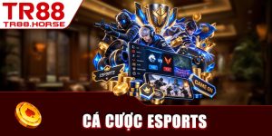 Cá Cược Esports