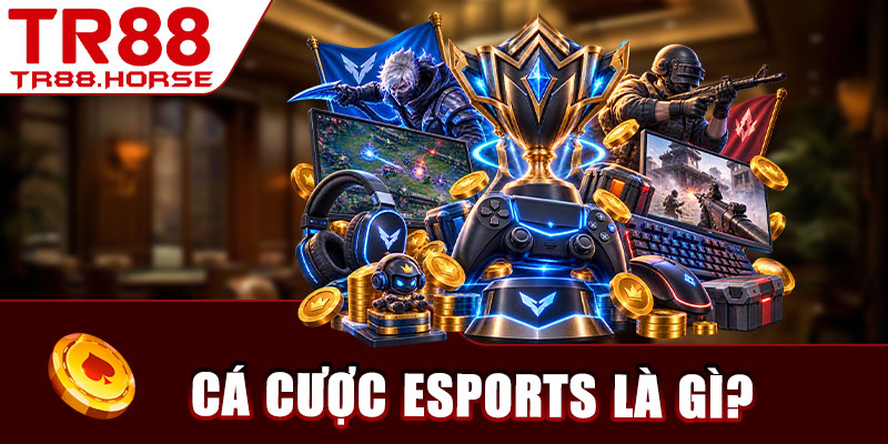 Cá cược Esports là gì?