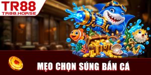 Mẹo Chọn Súng Bắn Cá
