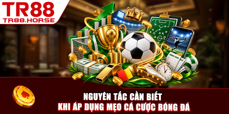 Nguyên tắc cần biết khi áp dụng mẹo cá cược bóng đá